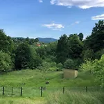 карпатська модрина * Kosów