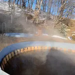карпатська модрина *