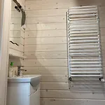 карпатська модрина
