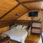 карпатська модрина Willa
