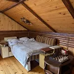 карпатська модрина Willa Kosów