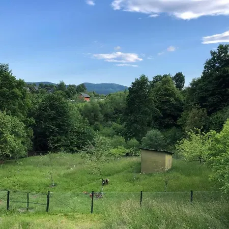 карпатська модрина * Kosiv