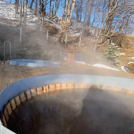 карпатська модрина *