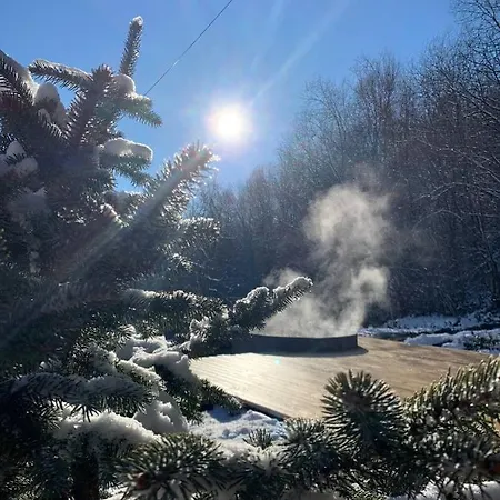 карпатська модрина Kosiv