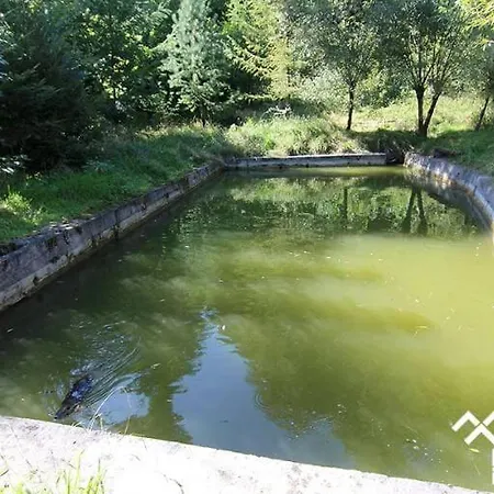 Villa карпатська модрина *