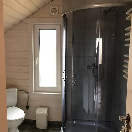 карпатська модрина Villa Kosiv