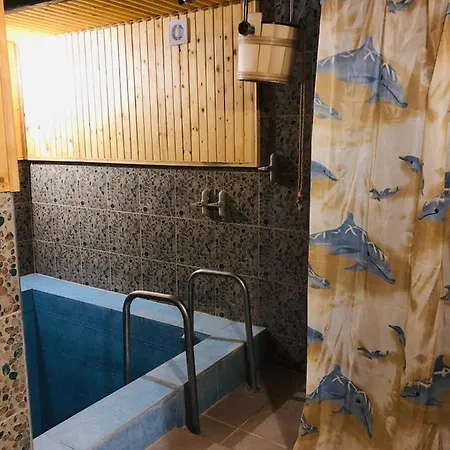 карпатська модрина * Kosiv