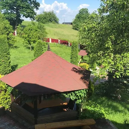 Villa карпатська модрина