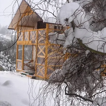 Villa карпатська модрина *