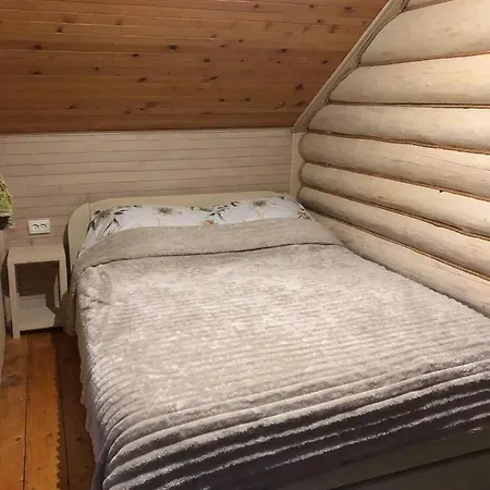 карпатська модрина Kossiw