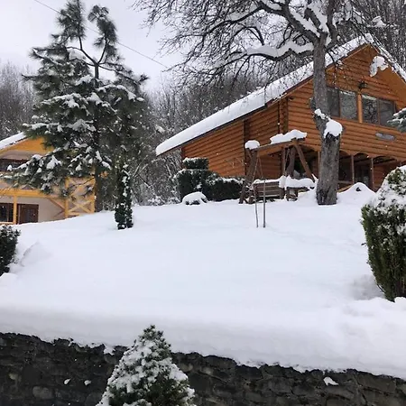 карпатська модрина