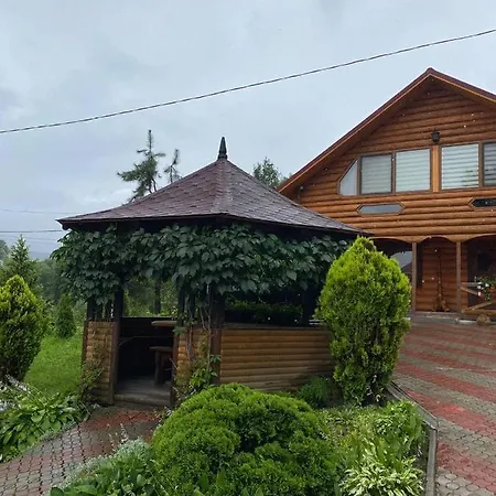 карпатська модрина Villa Kosiv