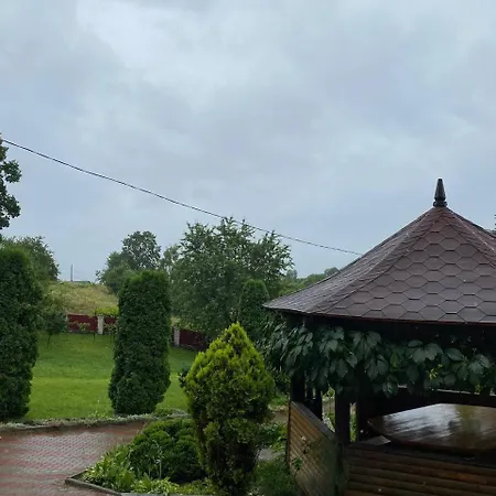 карпатська модрина Villa Kosiv