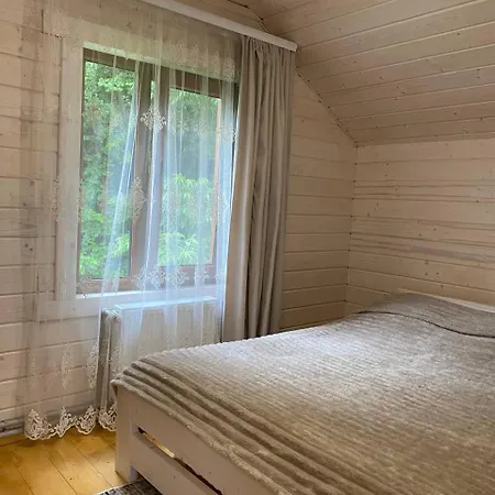 карпатська модрина * Kosiv