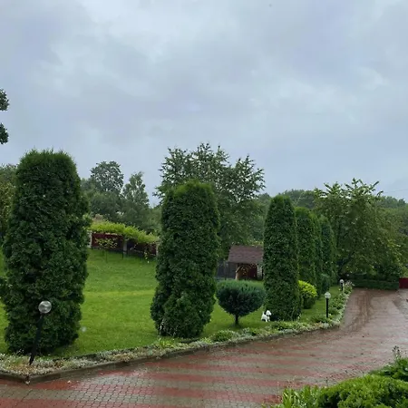 карпатська модрина Kosziv