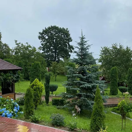 карпатська модрина * Kosiv