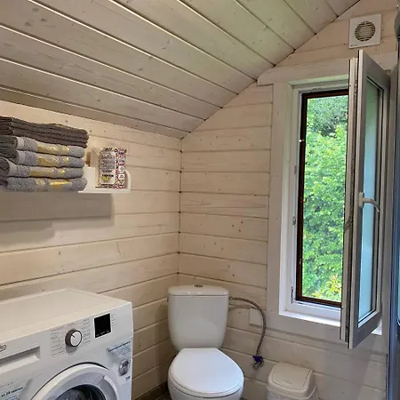 карпатська модрина Kosiv