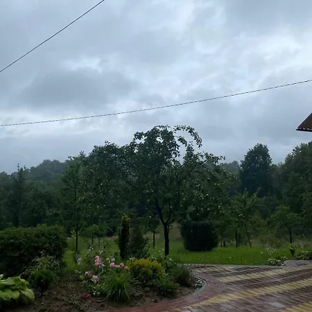 Villa карпатська модрина