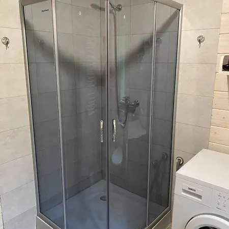 Villa карпатська модрина