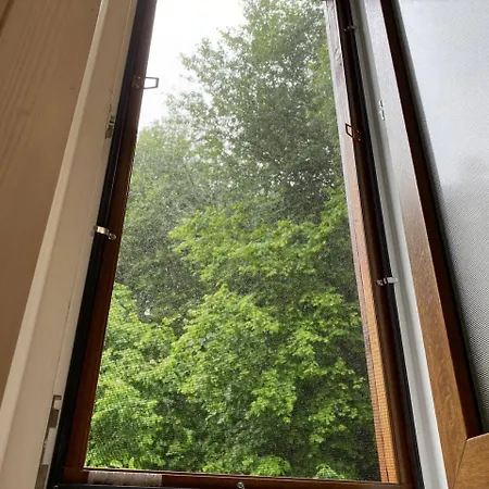 карпатська модрина * Kosiv