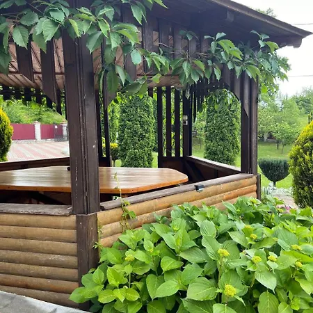 карпатська модрина Villa Kosiv