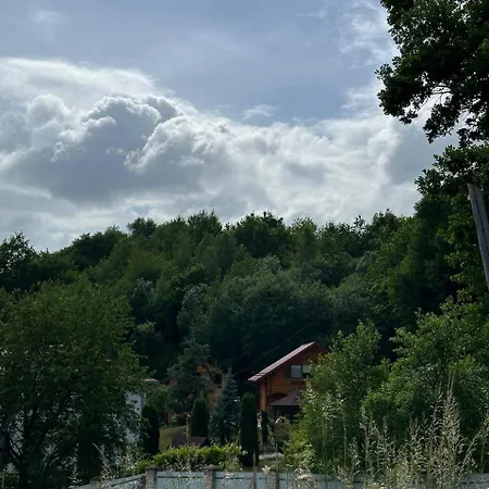 карпатська модрина Kosiv