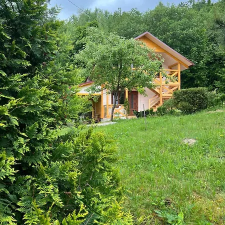 Villa карпатська модрина Kossiw