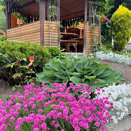 карпатська модрина Villa *