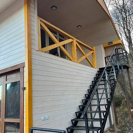 карпатська модрина Villa