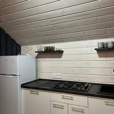 карпатська модрина Kossiw