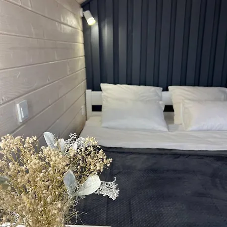 карпатська модрина * Kosiv