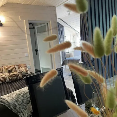 Villa карпатська модрина