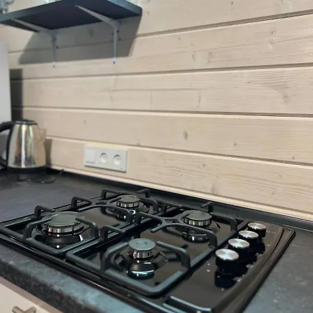 карпатська модрина Villa