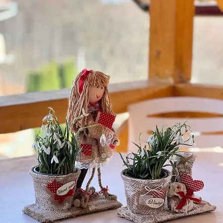 ヴィラ карпатська модрина
