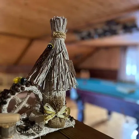 ヴィラ карпатська модрина コシフ