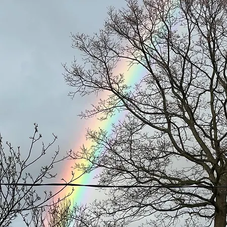 карпатська модрина Villa Kossiw