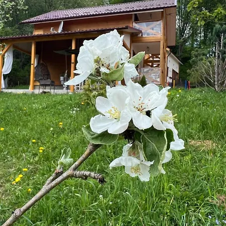 карпатська модрина וילה