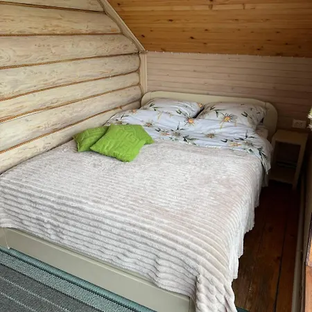 карпатська модрина *