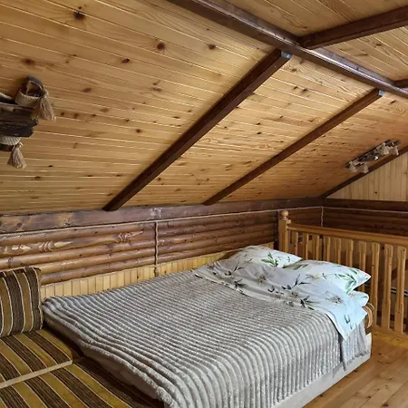 карпатська модрина