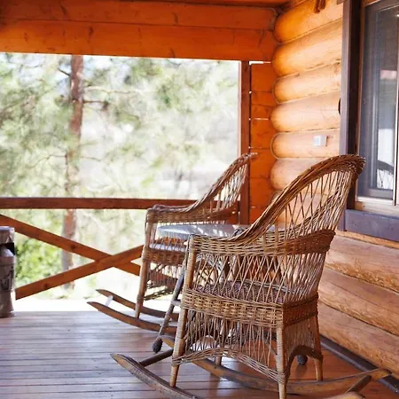 карпатська модрина Kosiv