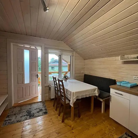 карпатська модрина * Kosiv