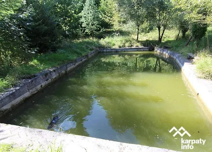 Villa карпатська модрина *