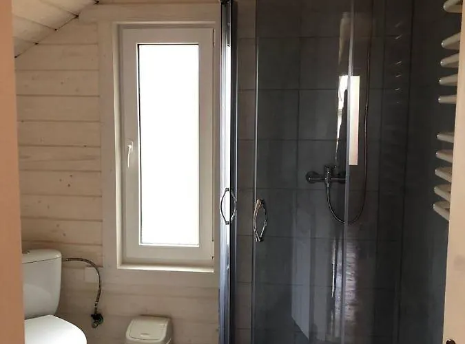 карпатська модрина Villa Kosiv
