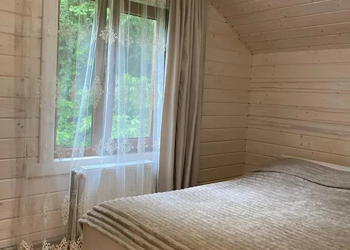 карпатська модрина * Kosiv