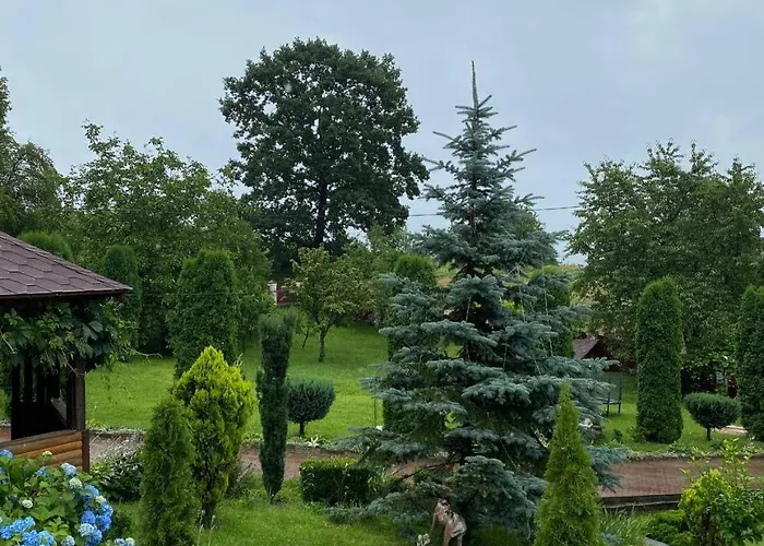 карпатська модрина * Kosiv