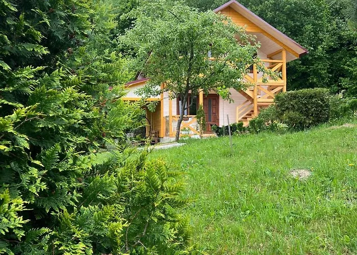 Villa карпатська модрина Kosiv