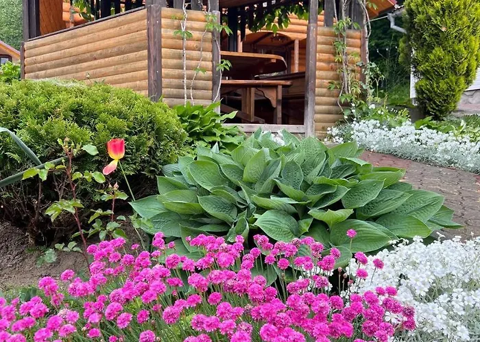 карпатська модрина Villa *