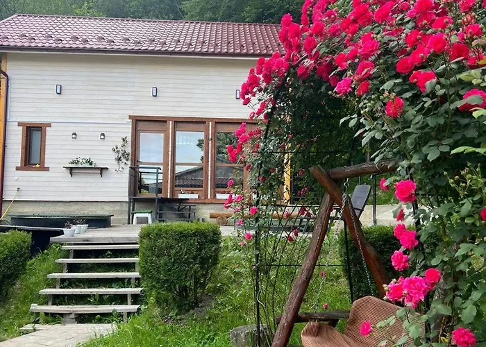 Villa карпатська модрина