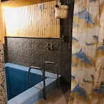 карпатська модрина * Kosiv