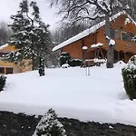 карпатська модрина